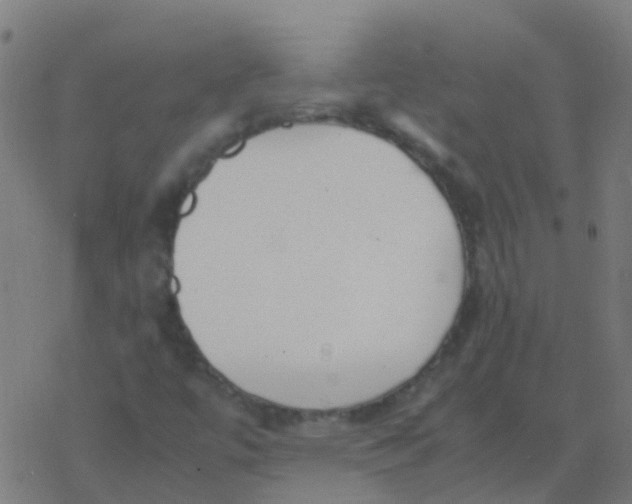 X0000077381447200611101717