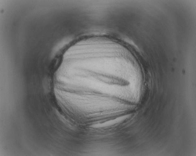 X0000077381448200611101717