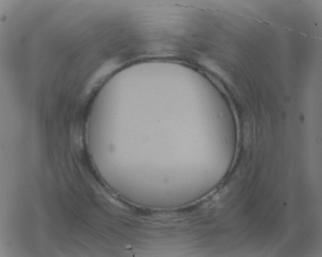 X0000077381451200611101717