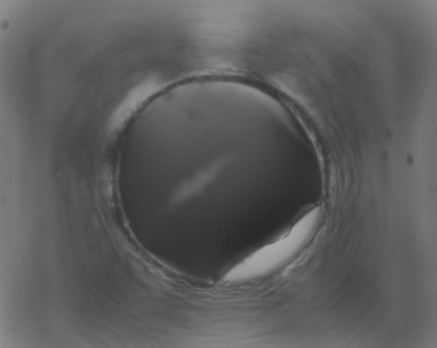 X0000077381455200611101717