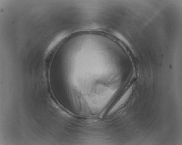 X0000077381456200611101717