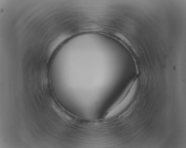 X0000077381458200611101717