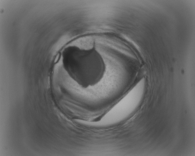 X0000077381459200611101717