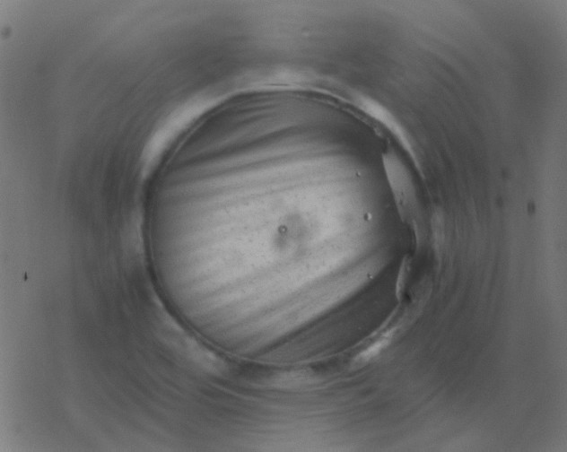 X0000077381464200611101717