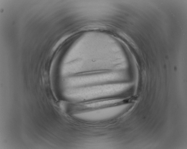 X0000077381465200611101717