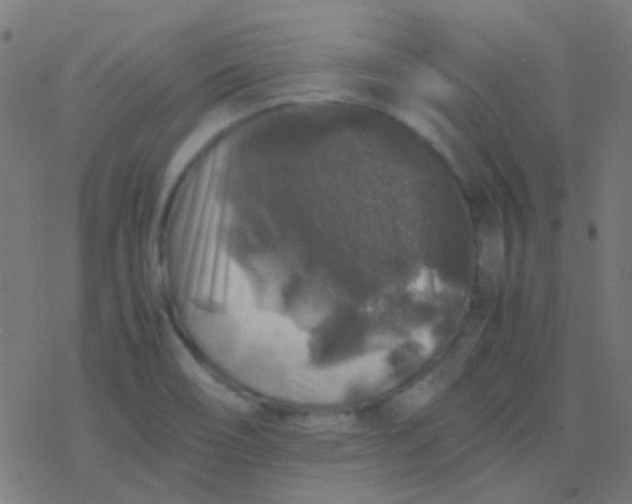 X0000077381466200611101717