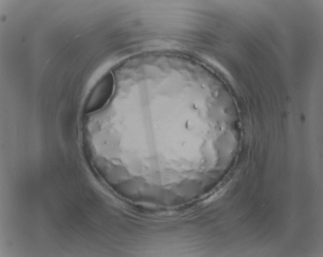 X0000077381467200611101717