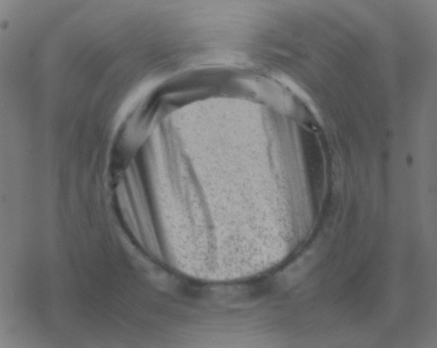 X0000077381469200611101717