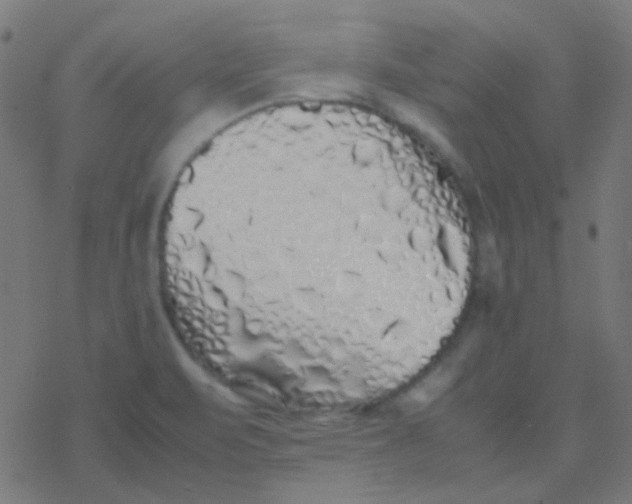 X0000077381471200611101717