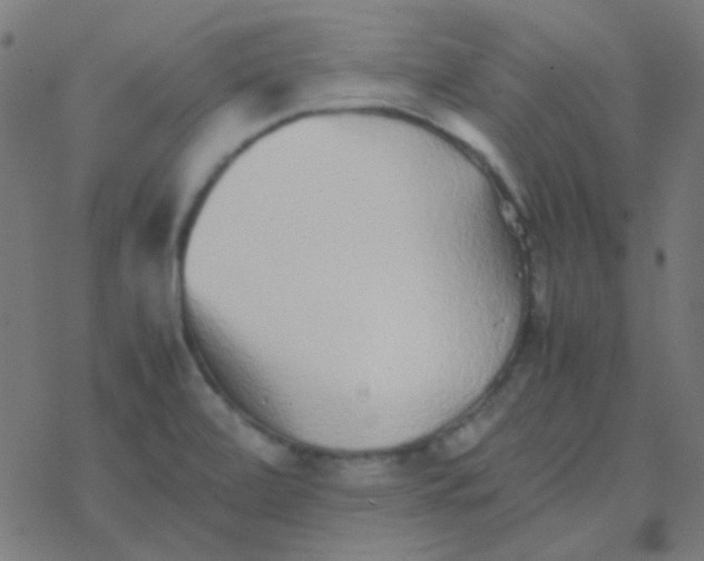 X0000077381472200611101717