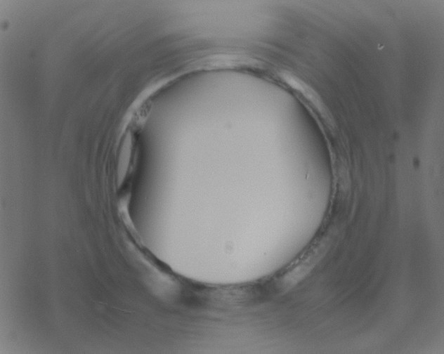 X0000077381473200611101717