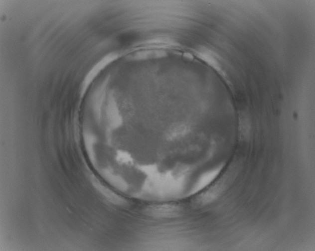 X0000077381474200611101717