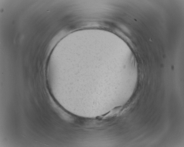 X0000077381475200611101717