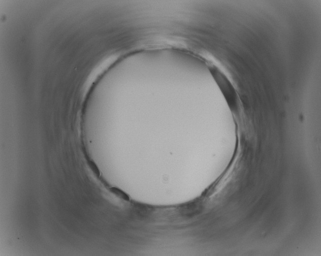 X0000077381477200611101717