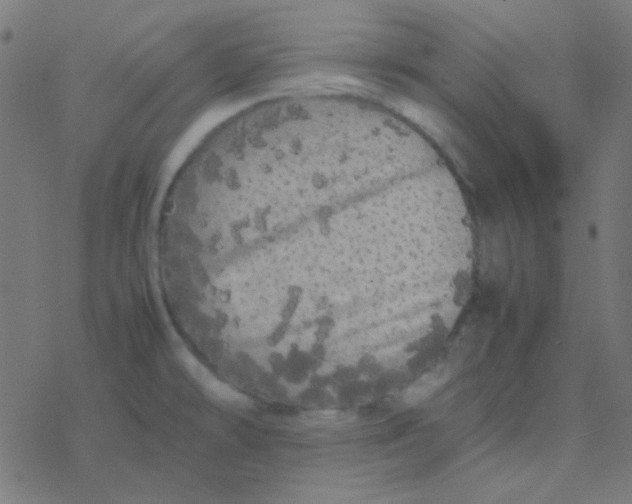 X0000077381478200611101717