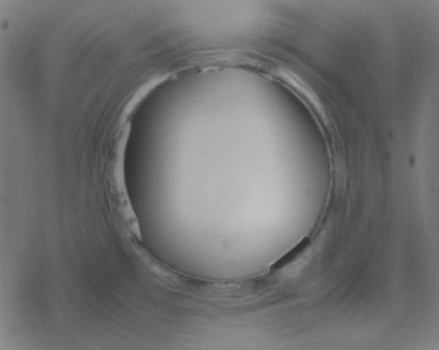 X0000077381481200611101717