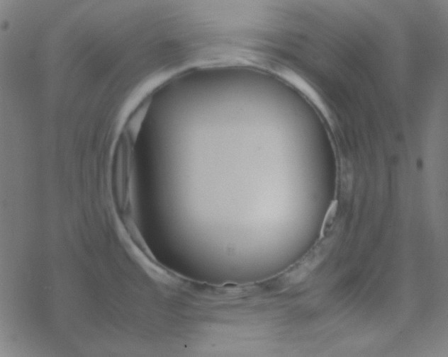 X0000077381485200611101717