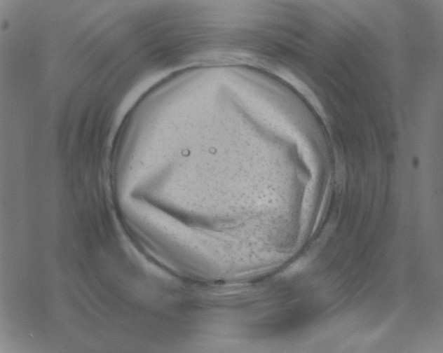 X0000077381486200611101717