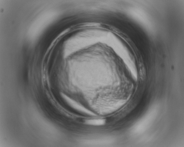 X0000077381487200611101717