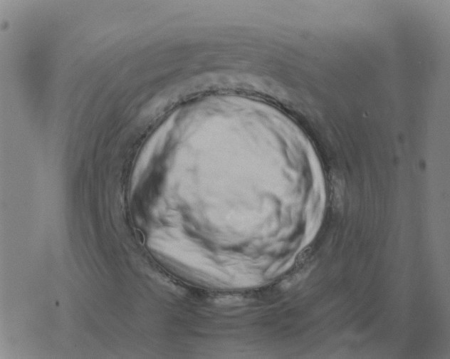 X0000077381489200611101716