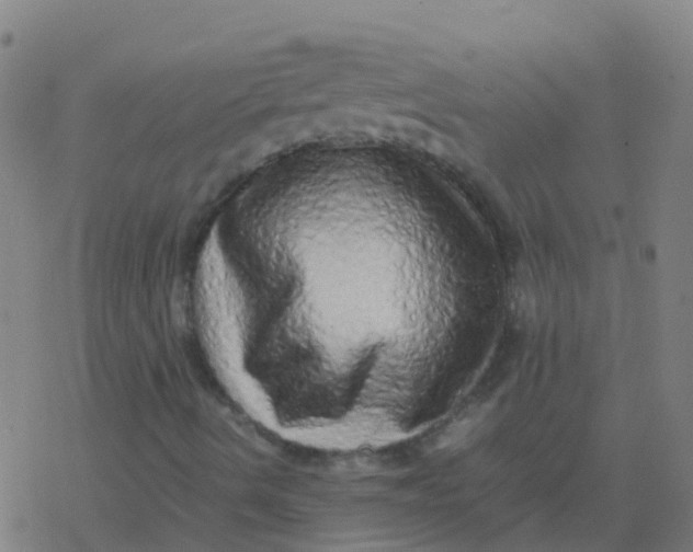 X0000077381490200611101716