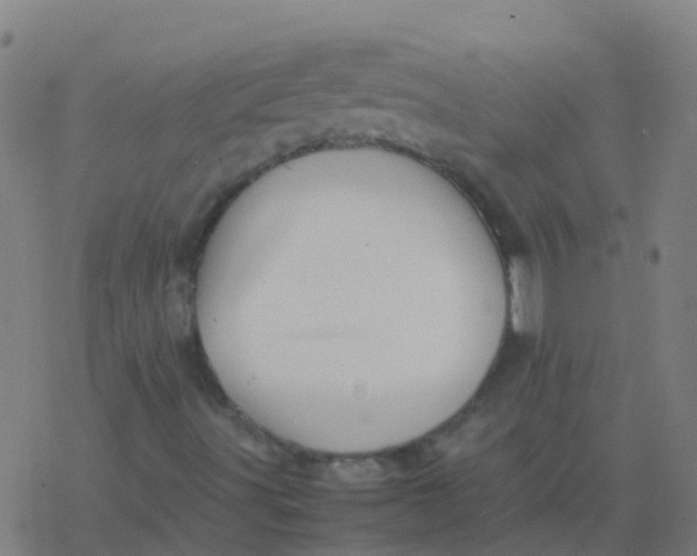 X0000077381491200611101716