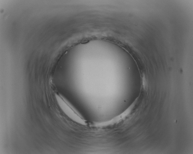 X0000077381492200611101716