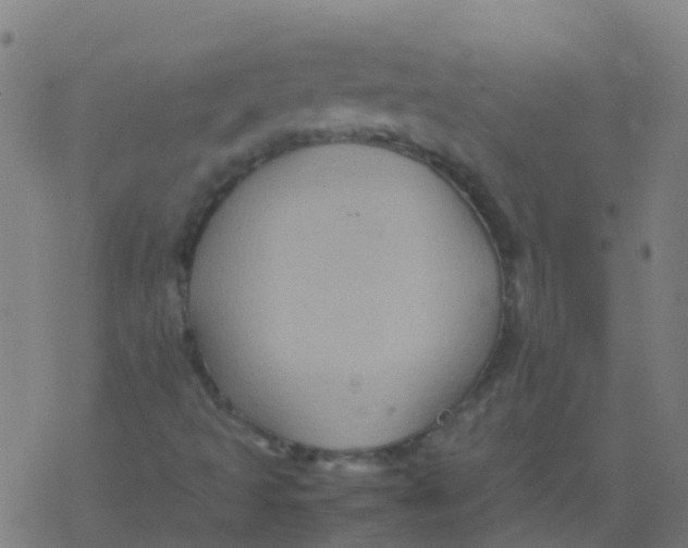 X0000077381493200611101716