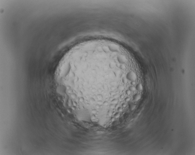 X0000077381494200611101716