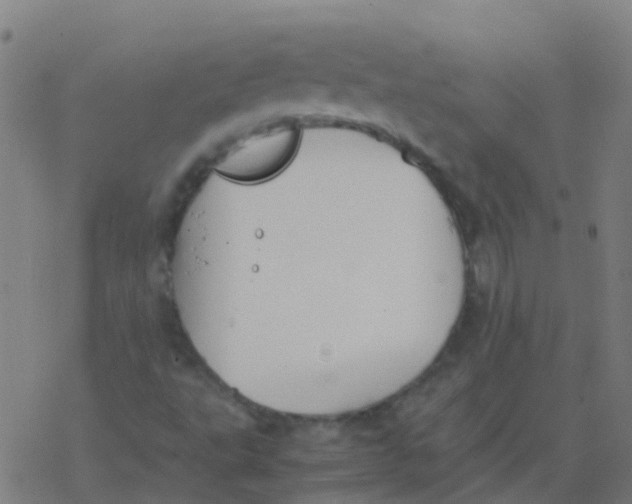 X0000077381495200611101716