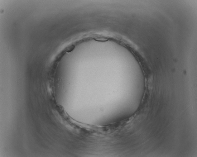 X0000077381496200611101716