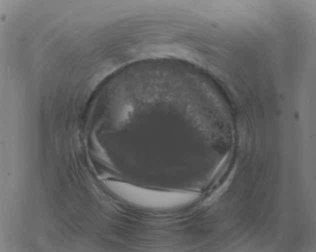 X0000077381497200611101716