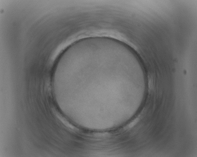 X0000077381498200611101716