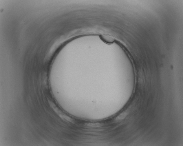 X0000077381499200611101716