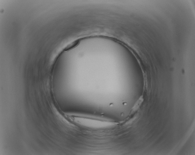 X0000077381500200611101716