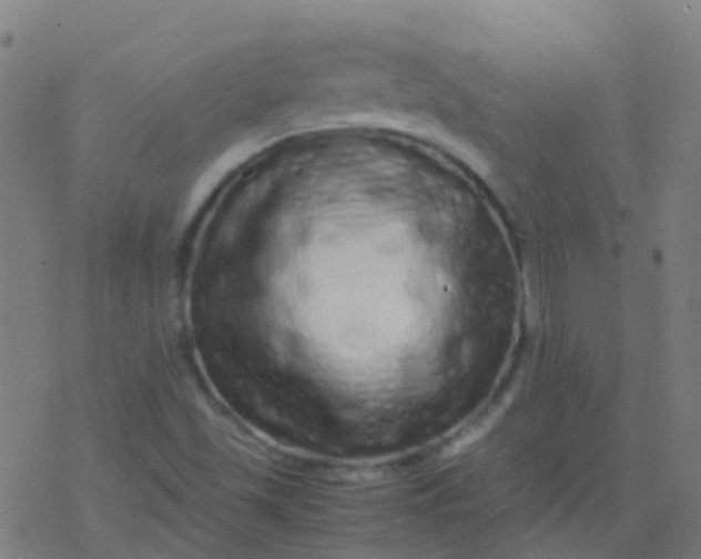 X0000077381501200611101716