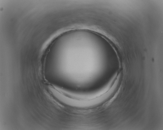 X0000077381502200611101716