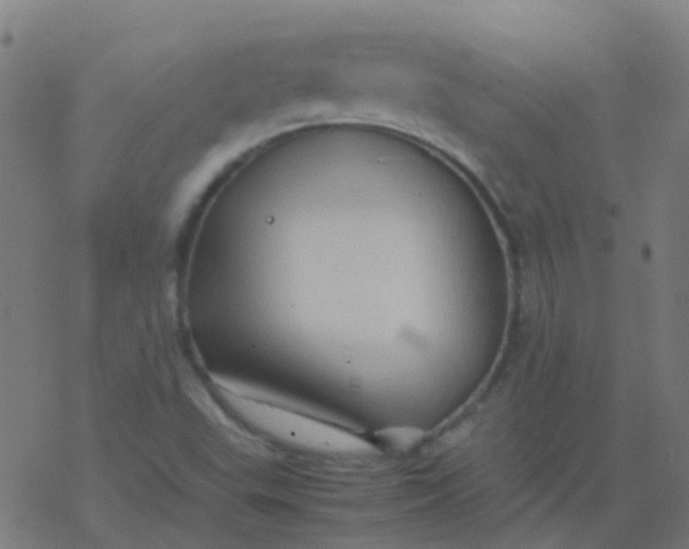 X0000077381503200611101716