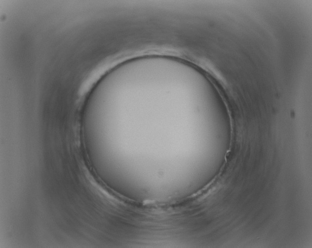 X0000077381504200611101716