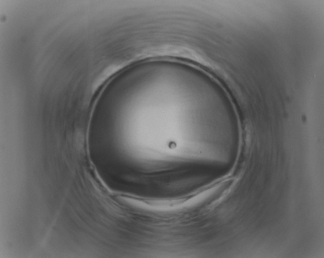 X0000077381505200611101716