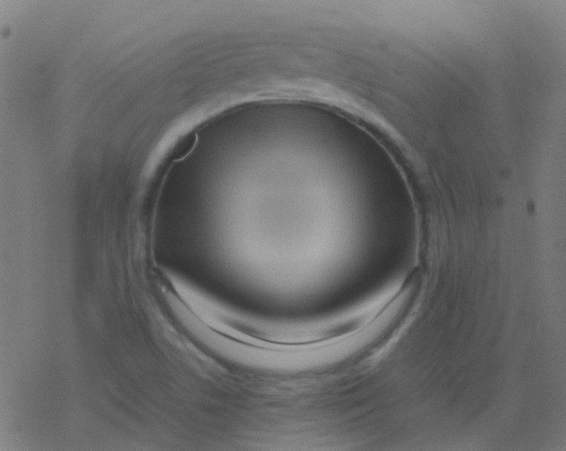 X0000077381506200611101716