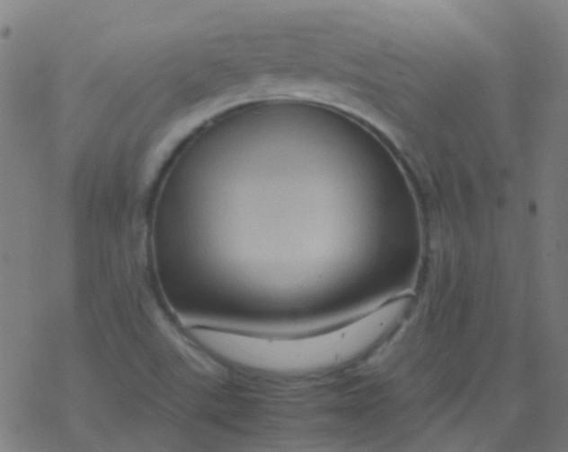 X0000077381507200611101716