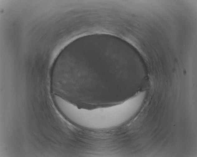 X0000077381508200611101716