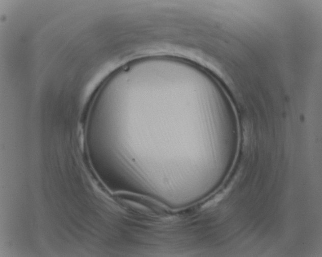 X0000077381509200611101716