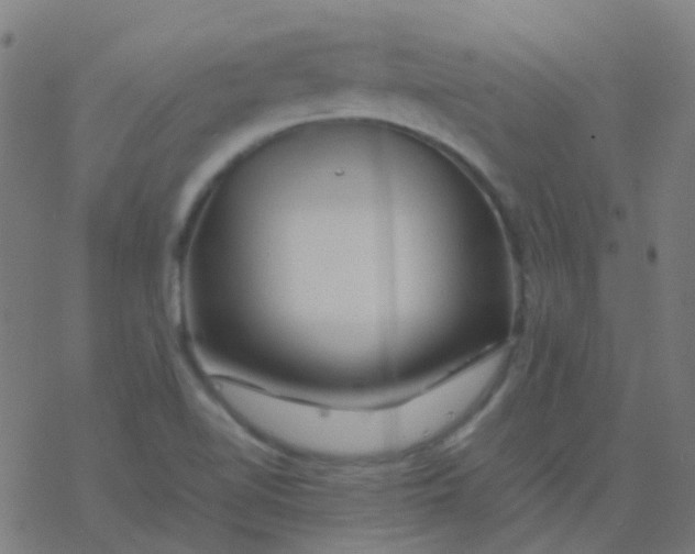 X0000077381510200611101716