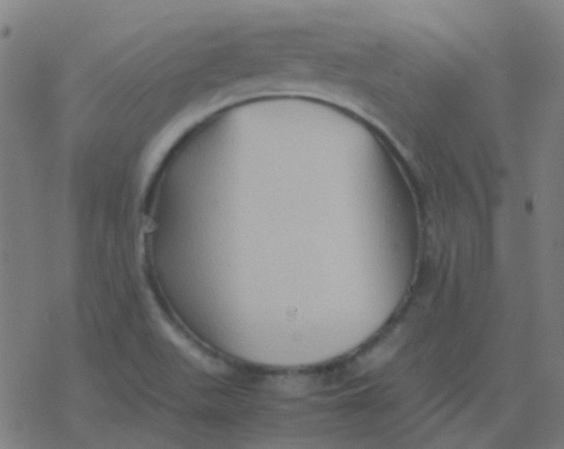 X0000077381511200611101716