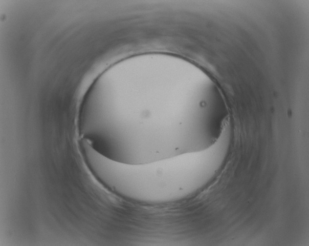 X0000077381512200611101716