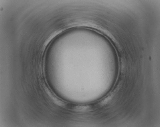 X0000077381513200611101716