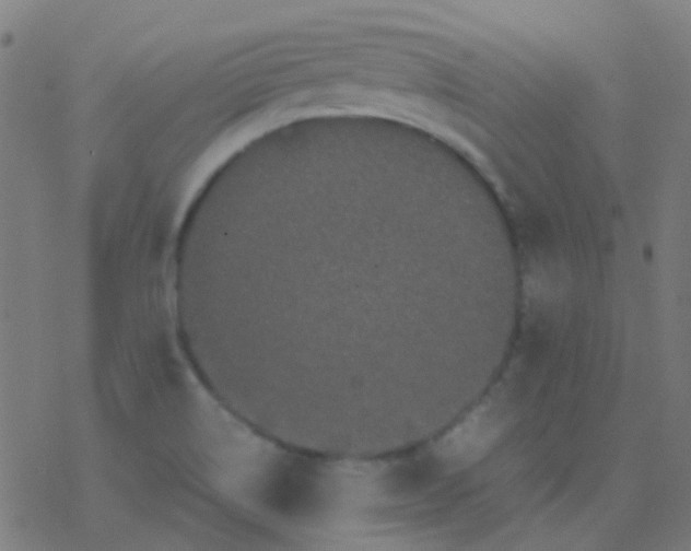 X0000077381514200611101716