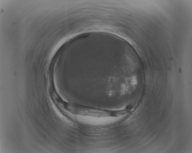 X0000077381515200611101716